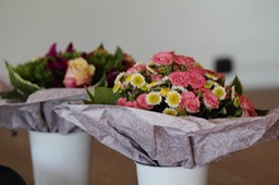IMG_8473